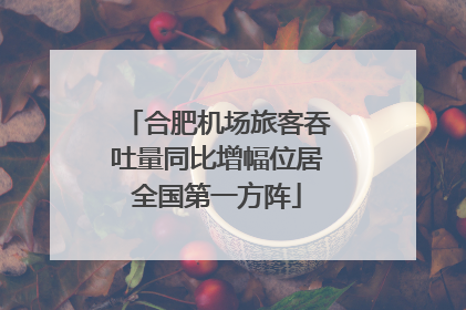 合肥机场旅客吞吐量同比增幅位居全国第一方阵