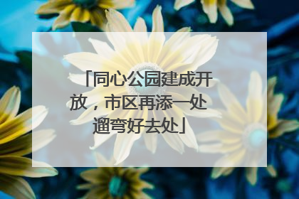 同心公园建成开放，市区再添一处遛弯好去处