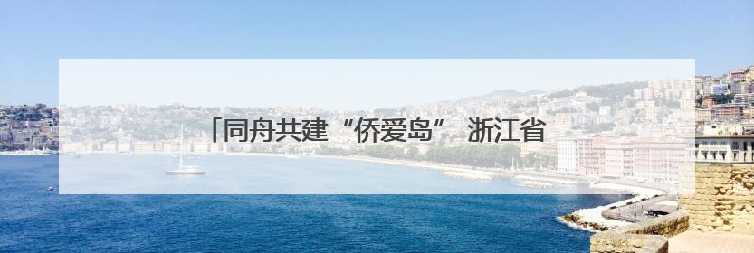同舟共建“侨爱岛” 浙江省侨商会青委会代表团走进嵊泗