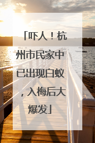 吓人！杭州市民家中已出现白蚁，入梅后大爆发