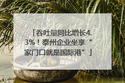 吞吐量同比增长4.3%！泰州企业坐享“家门口就是国际港”