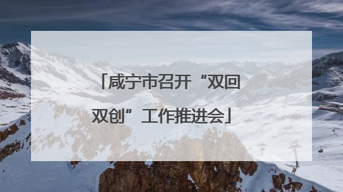 咸宁市召开“双回双创”工作推进会