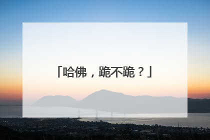 哈佛，跪不跪？