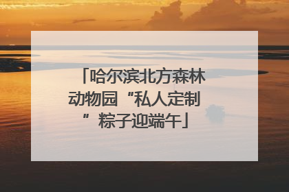 哈尔滨北方森林动物园“私人定制”粽子迎端午