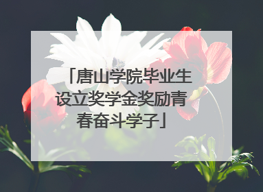 唐山学院毕业生设立奖学金奖励青春奋斗学子