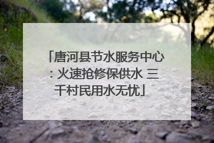 唐河县节水服务中心：火速抢修保供水 三千村民用水无忧