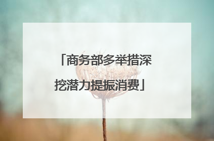 商务部多举措深挖潜力提振消费