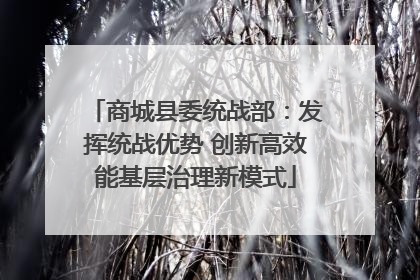 商城县委统战部：发挥统战优势 创新高效能基层治理新模式