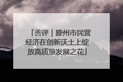 善评｜滕州市民营经济在创新沃土上绽放高质量发展之花