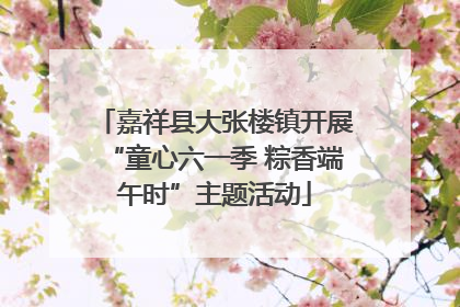 嘉祥县大张楼镇开展“童心六一季 粽香端午时”主题活动