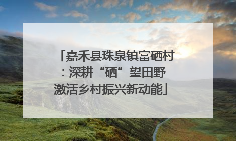 嘉禾县珠泉镇富硒村：深耕“硒”望田野 激活乡村振兴新动能
