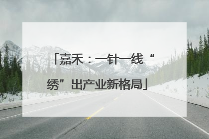 嘉禾：一针一线“绣”出产业新格局