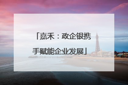 嘉禾：政企银携手赋能企业发展