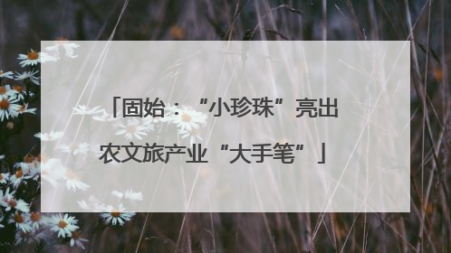 固始：“小珍珠”亮出农文旅产业“大手笔”
