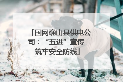 国网确山县供电公司：“五进”宣传 筑牢安全防线