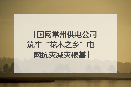 国网常州供电公司筑牢“花木之乡”电网抗灾减灾根基