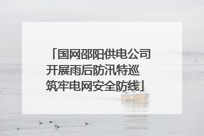 国网邵阳供电公司开展雨后防汛特巡 筑牢电网安全防线