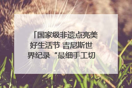 国家级非遗点亮美好生活节 吉尼斯世界纪录“最细手工切面”邀您来品！｜美好生活有“盐”味