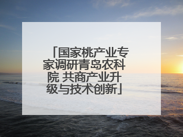 国家桃产业专家调研青岛农科院 共商产业升级与技术创新
