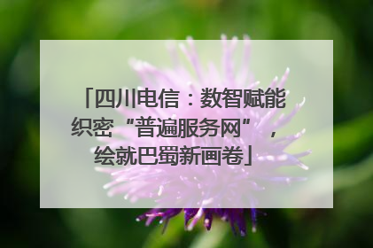 四川电信：数智赋能织密“普遍服务网”，绘就巴蜀新画卷