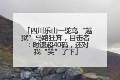 四川乐山一鸵鸟“越狱”马路狂奔，目击者：时速超40码，还对我“笑”了下
