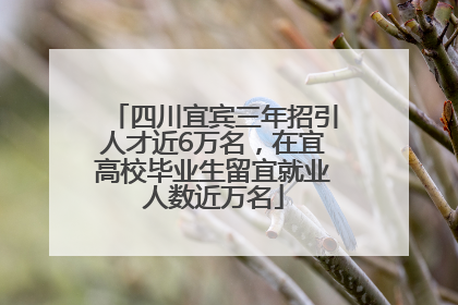 四川宜宾三年招引人才近6万名，在宜高校毕业生留宜就业人数近万名