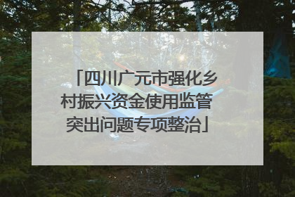 四川广元市强化乡村振兴资金使用监管突出问题专项整治