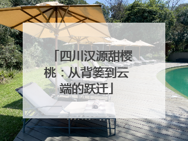 四川汉源甜樱桃：从背篓到云端的跃迁