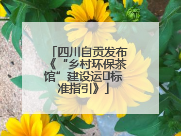 四川自贡发布《“乡村环保茶馆”建设运⾏标准指引》
