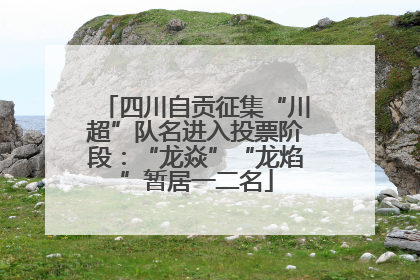 四川自贡征集“川超”队名进入投票阶段：“龙焱”“龙焰”暂居一二名