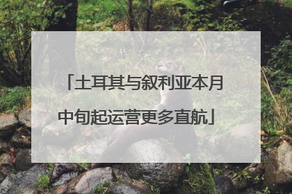 土耳其与叙利亚本月中旬起运营更多直航