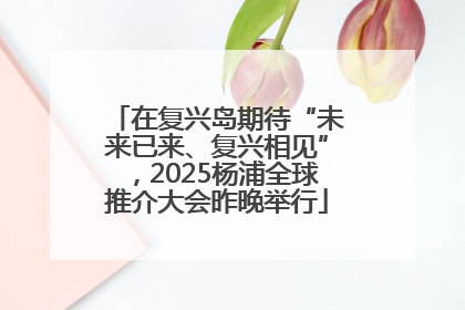 在复兴岛期待“未来已来、复兴相见”，2025杨浦全球推介大会昨晚举行