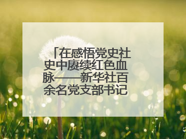 在感悟党史社史中赓续红色血脉——新华社百余名党支部书记参加示范培训