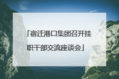 宿迁港口集团召开挂职干部交流座谈会