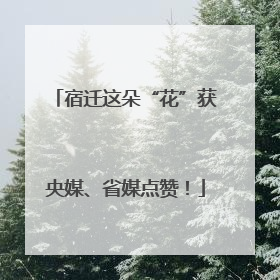 宿迁这朵“花”获央媒、省媒点赞！