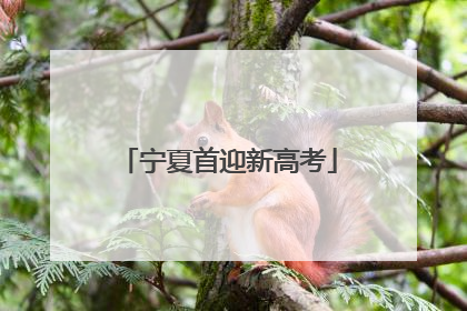 宁夏首迎新高考