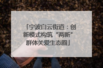 宁波白云街道：创新模式构筑“两新”群体关爱生态圈