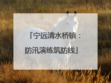 宁远清水桥镇：防汛演练筑防线