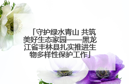 守护绿水青山 共筑美好生态家园——黑龙江省丰林县扎实推进生物多样性保护工作