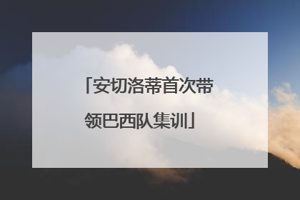 安切洛蒂首次带领巴西队集训