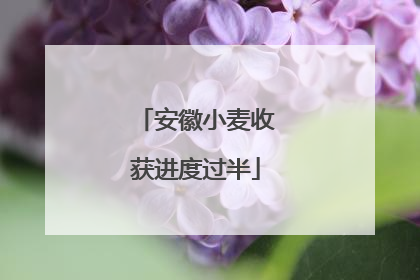 安徽小麦收获进度过半