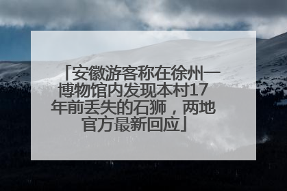 安徽游客称在徐州一博物馆内发现本村17年前丢失的石狮，两地官方最新回应