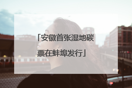 安徽首张湿地碳票在蚌埠发行