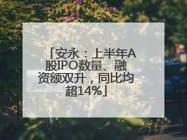 安永：上半年A股IPO数量、融资额双升，同比均超14%