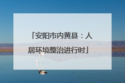 安阳市内黄县：人居环境整治进行时