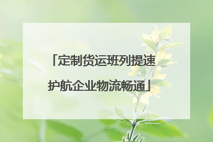 定制货运班列提速 护航企业物流畅通