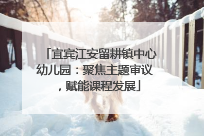 宜宾江安留耕镇中心幼儿园：聚焦主题审议，赋能课程发展