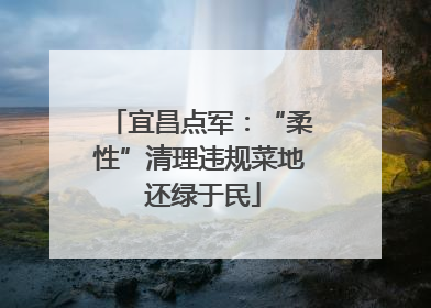 宜昌点军：“柔性”清理违规菜地 还绿于民