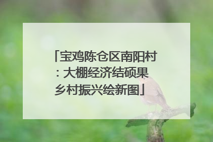 宝鸡陈仓区南阳村：大棚经济结硕果 乡村振兴绘新图