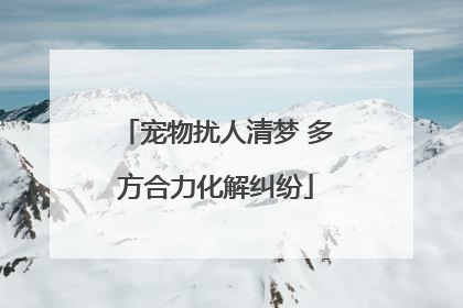 宠物扰人清梦 多方合力化解纠纷